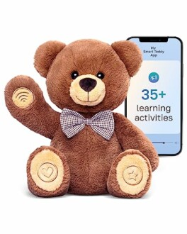 Smart Teddy