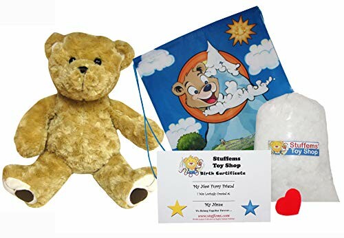 DIY teddy bear kit with certificate, stuffing, and heart.