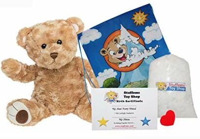 Twist Bear No Sew Kit