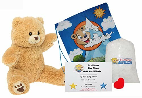 Teddy bear stuffing kit with plush bear, stuffing, birth certificate, and colorful bag.